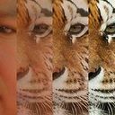 Fumando Bajo El Agua