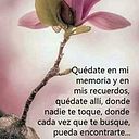 lindavalladolid
