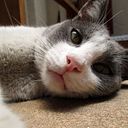 Mª Fernanda Guerrero