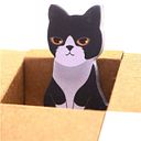 LENY LIZBETH VILCA FLORES