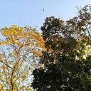 Patricia Deyanira Vera Alcívar