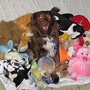 Magdalena Alejandra Piera