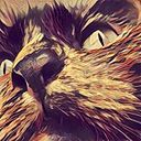 Carlos Pachón Matute