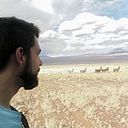 Miguel Suarez Torres