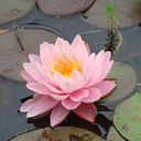 María Laura Lorenzo