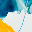 Diana Solís Herrera