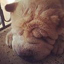 Santiago Naranjo Montoya