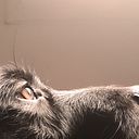 Alberto Jiménez Sánchez