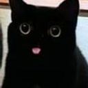 Guillermo Vela Valdés