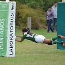 Lourdes Acosta