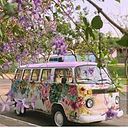 Eliezer Cleris Santos