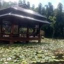 Pablo Gibran Díaz Díaz