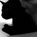 nicolemartinezfuentes