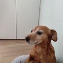 Paula Lopez Mosteiro