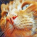 Karem Herrera Sánchez