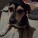 Wiliam Martinez Morales