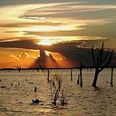 Alejandra Wanuffelen