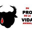 Alejandro Hinestrosa