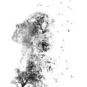 Raquel Chueca Andrés