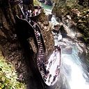 Roberto Francisco Bone Hernandez