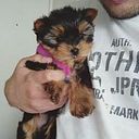 Christopher Cabrera González