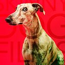 skinnydogfilms