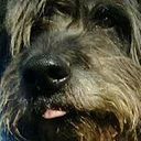 Jose Rodríguez Alcoba