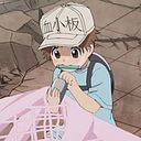 Francisco Minajas Carbajal