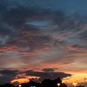 Andres Ortiz-Ferrari