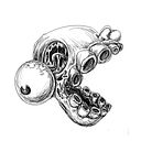 Diego Josue Santiago Quispe