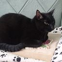 Catalina Gutierrez Isaza