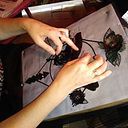 Teresa Pueyo Canales