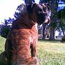 Carolina Jaureguiberry