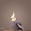 Carlos Daniel Alvarado Ramírez