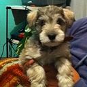 Angel Lorenzo Salinas