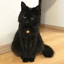 Ivette Alexandra Fernández Landa