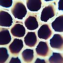 Juan Pablo García Agudelo