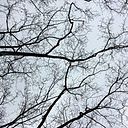 Paola Arévalo Prada