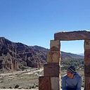 Carlos Navarro Trevisan