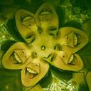 Belén Fernández Fuentes