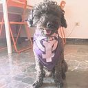 Ana Zamudio Guerrero