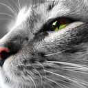 Jessy Valeska Chacón Ramírez