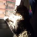 Elena García Gómez