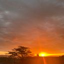 AleJandra GonZález Pye