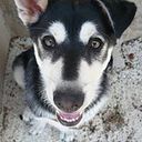 Cristian Vidal Garcia