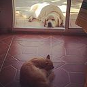 Martin Salvador Privitera