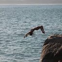 Ariana López Salvador