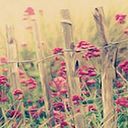 María José Rodríguez Díaz