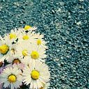 Gislaine E. GAWWWMEZZZ.