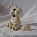 Sofia Victoria Suárez Dotti